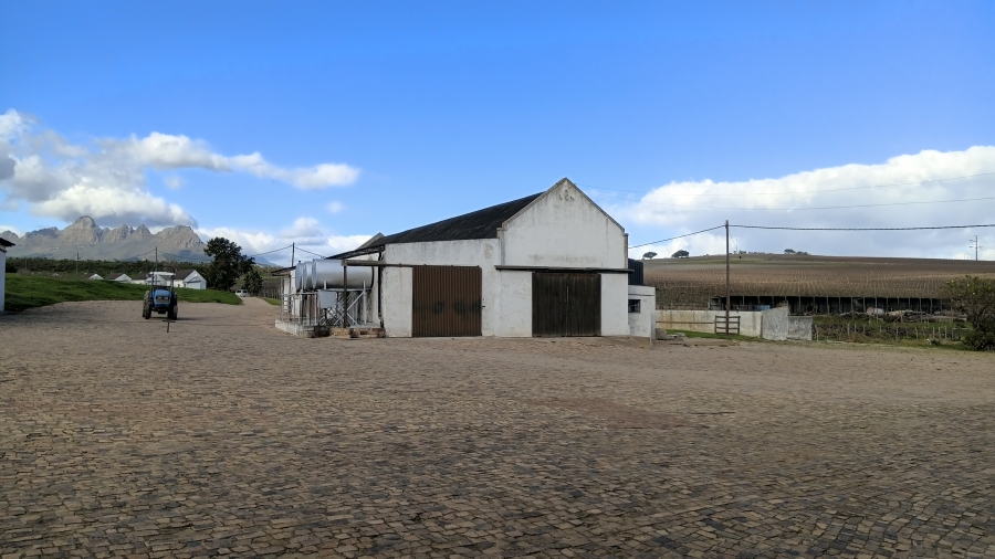 5 Bedroom Property for Sale in Stellenbosch Farms Western Cape